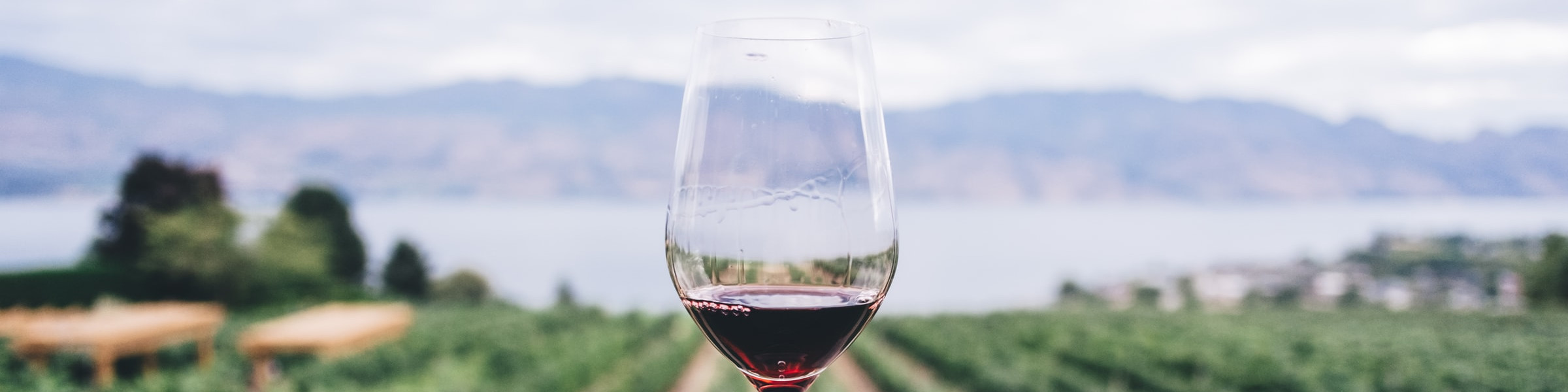 Wine Lover Cruises